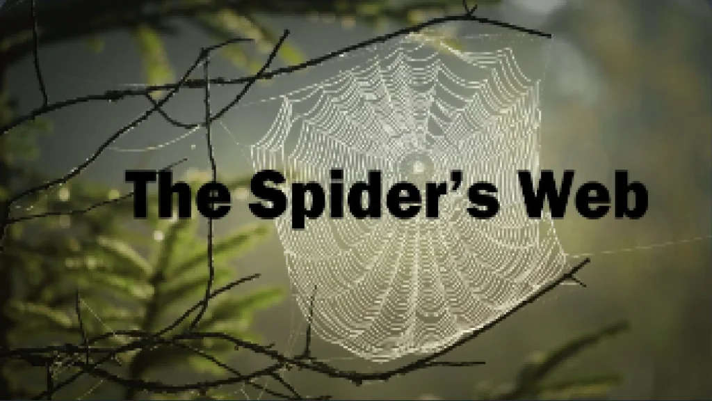 Vlog – The Spiders Web 1